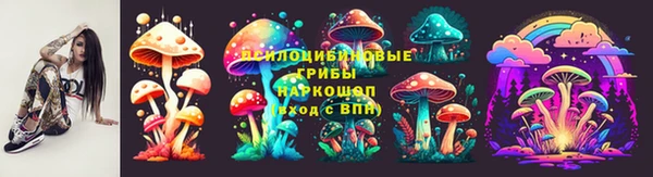 ГАЛЛЮЦИНОГЕННЫЕ ГРИБЫ Абинск