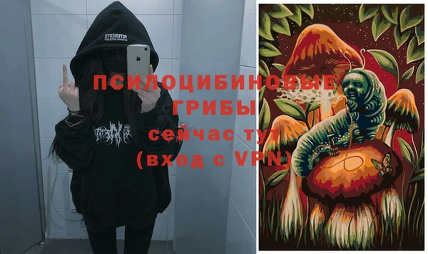 ГАЛЛЮЦИНОГЕННЫЕ ГРИБЫ Абинск