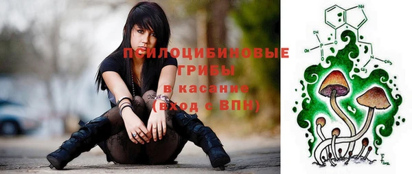 ГАЛЛЮЦИНОГЕННЫЕ ГРИБЫ Абинск