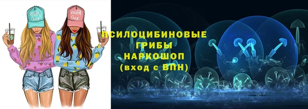ГАЛЛЮЦИНОГЕННЫЕ ГРИБЫ Абинск