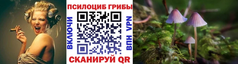 Галлюциногенные грибы Cubensis Сертолово