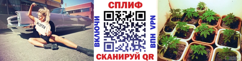 что такое наркотик  Сертолово  МАРИХУАНА LSD WEED 